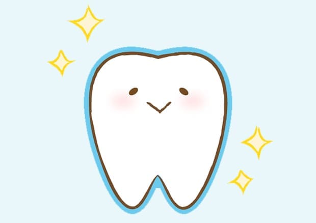 あなたのお口の健康を守るパートナー